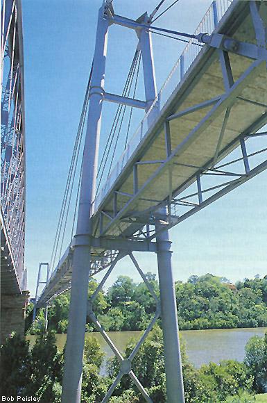 Jack Pesch Bicycle and Pedestrian Bridge which spans the Brisbane River. The concrete deck is supported by, and acts compositely with, two fully welded steel trusses made from Grade 350 XLERCOIL® RHS sections.